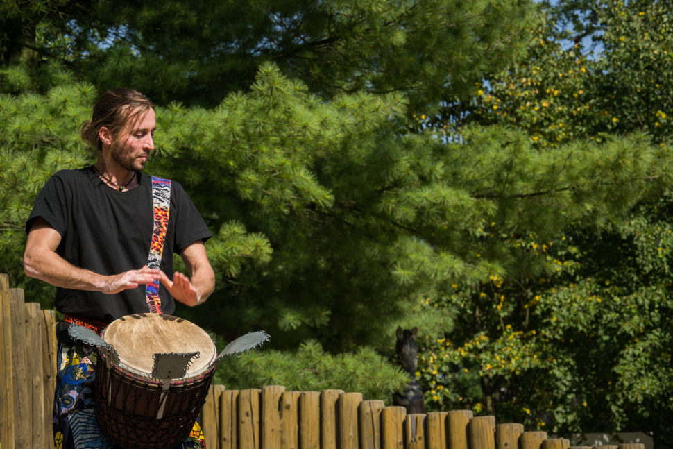 Djembe sólo na africký buben djembe.